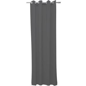 Today - Kant en Klaar Gordijn - Met Ringen - Lichtdoorlatend - 140 x 240cm - Acier - Lichtgrijs