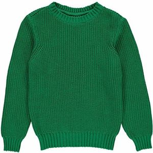Fred's World by Green Cotton gebreide chunky sweater, Earth green, 104 cm