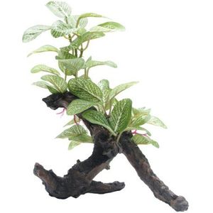 Fluval Afrikaanse schaduw blad ornament, 4 bij 6 bij 8-Inch