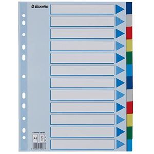 Esselte Register voor A4, omslagblad en 12 tabbladen met tabs, meerkleurig, robuuste kunststof, 15262