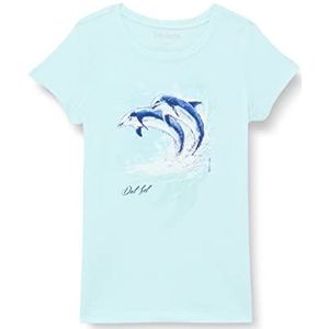 Del Sol Youth Girls Crew Tee - Aquarel Dolphin, Ice Blue T-Shirt - Veranderingen van blauw & wit in levendige kleuren in de zon - 100% gekamd, ringgesponnen katoen, korte mouw - maat YS
