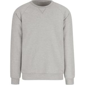 Trigema Sweatshirt voor dames met opgeruwde binnenkant, grijs (lichtgrijs gemêleerd 110), 3XL