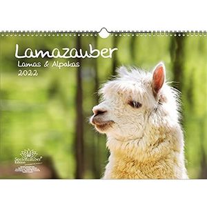 Seelenzauber Lama Magie DIN A3 Kalender Voor 2022 Lama Alpaca