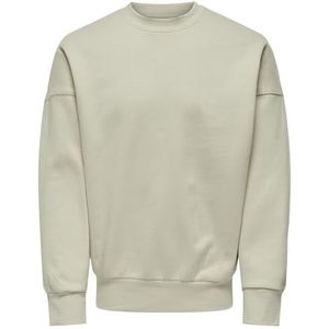 ONLY & SONS ONSDAN Life RLX Heavy Sweat Crew NOOS, Zilvervoering., M