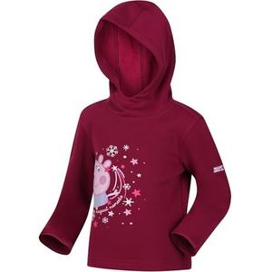 Peppa Graph Hoody