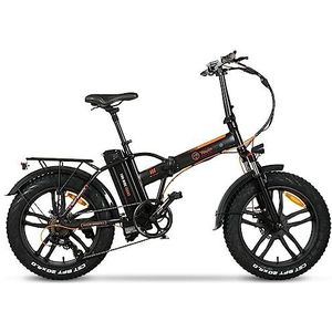 YOUIN Elektrische fiets voor volwassenen, uniseks, E-bike FAT Youin Texas, 50,8 x 10,2 cm, 10 Ah, 250 W