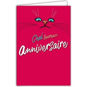 Verjaardagskaart voor meisjes, dames, kat, roze, blauwe ogen, warm, woordspel met envelop, formaat 12 x 17,5 cm, papier 300 g uit duurzaam beheerde bossen, gemaakt in Frankrijk Afie 69-8016