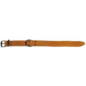 JACK AND VANILLA, Grote hondenhalsband, model Black Label, kleur cognac, afmetingen 30 mm x 45 cm