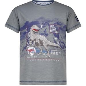 SALT AND PEPPER BY KIDS PARK Jongens T-shirt met T-Rex Stick Printmotief van S.Jersey, Misty Olive, 104-110 cm Kinderen en jongeren, Misty Olive, 104-110