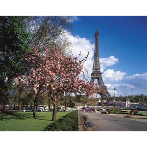 Clementoni 5308439 - Tour Eiffel Parijs, 1000 delen