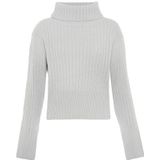 Blonda - Pull - Acrylique - Grijs licht gemêleerd - Dames