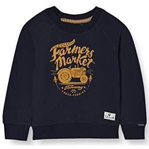 Noppies Baby-jongens B Sweater Ls Kei Road Sweatshirt, Dark Sapphire - P208, 50 cm