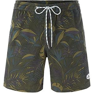 O'Neill LM Kamakou Walk Shorts voor heren