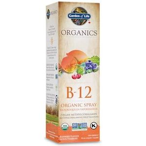 Garden of Life mykind Organics - B-12 Organic Spray - Raspberry 58 mL