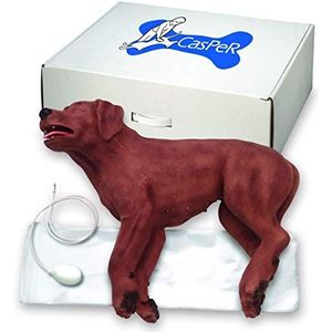 Simulaids 1020264 BLS hond Casper the CPR hond eerste hulp dierenarts