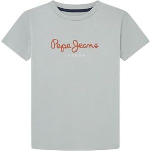 Pepe Jeans Nieuw Art Nn T-shirt voor jongens, Groen (Winter Mint Groen), 14 jaar