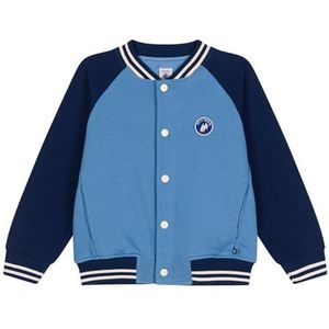 Petit Bateau jongens teddy, Alaska/middeleeuws, 8 Jaar