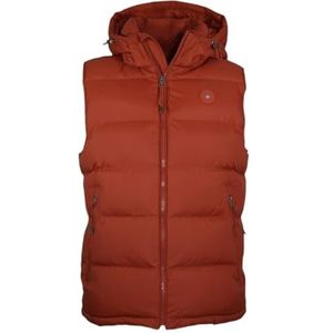 GANT Heren Active Cloud Vest, Iron Red, XL, IJzer Rood, XL