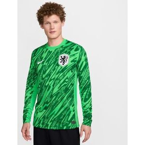 Nike Top Netherlands heren Dri-Fit Stadium Jsyls Gk Lion, Green Spark/Pine Green/White, FJ4290-329, L