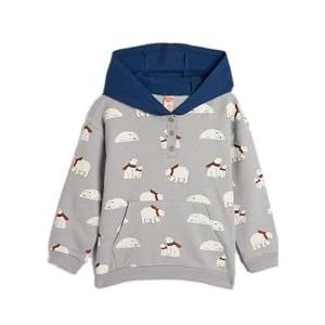 Koton Babyboys Hoodie Polar Bear Printed Soft Interior Katoenen Sweatshirt, Grijs design (0d2), 9-12 Monate