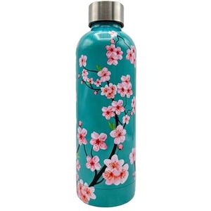 Tognana Japan Collection drinkfles 500 cc, roestvrij staal, blauwgroen