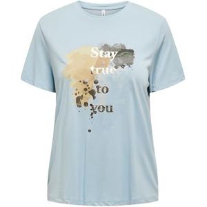 Only - Onlfree Life Reg Leaf Top Box J - T-shirt - Cashmere Blue