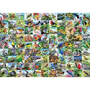 99 Delightful Birds Puzzel (300 XL stukjes) - Vogels, 300 puzzels