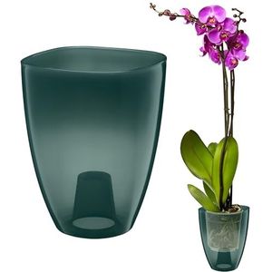 VERDENIA KAJA Orchideeënpot, minimalistisch design, licht, voor binnen, hoogwaardig polypropyleen, transparant oppervlak, praktisch en functioneel, 12 x 12 x 17 cm, donkergroen