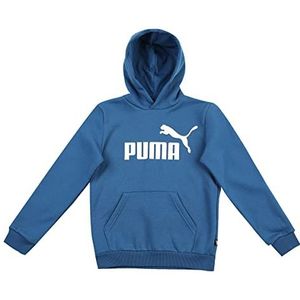 PUMA Sweatshirt merk model ESS Big Logo Hoodie FL B