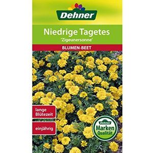 Dehner Zigeunersonne-bloemenzaad, op lage dagen, 5-pack (5 x 1,3 g)