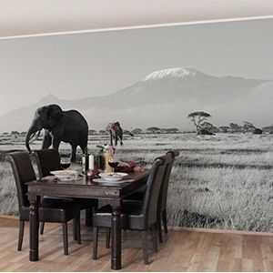 Apalis Vliesbehang olifanten voor de Kilimanjaro in Kenya II fotobehang breed | vliesbehang wandbehang wandschilderij foto 3D fotobehang voor slaapkamer woonkamer keuken | grijs, 94610