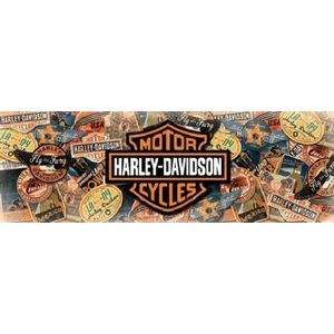 Harley Davidson - Reizen - Midi Poster - 30,5 cm x 91,5 cm