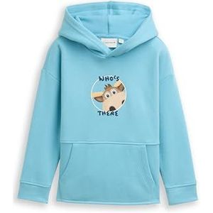 Tom Tailor - Hoodie - Elixir Blue - Voor Kids - Met Eland-Frontprint en Rugprint