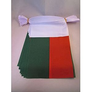 AZ FLAG - Madagascar Bunting Flag - 20 Ft Garland with 20 Small Madagascan Flags 8'' x 6'' - 100% Polyester String Pennant - 6 meters