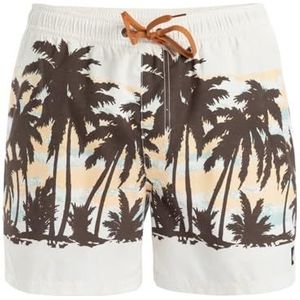 Quiksilver - EVERYDAY RECHTE VOLLEY 15 - Boardshorts - Wit