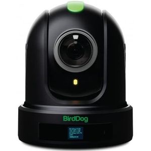 BirdDog P110 PTZ Camera 1080P with 10x Zoom, OLED screen