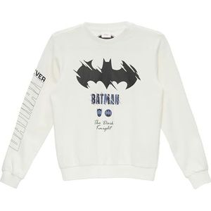 Sweater - Ronde Hals - Lange Mouwen - Geribbelde Boord - Regular Fit - Grafische Print