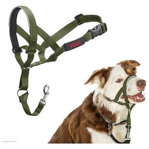 Company of Animals HALTI Halster, om te voorkomen dat uw hond aan de riem trekt. Verstelbaar, reflecterend en licht, met gevoerde neusband, Forest Green, 2