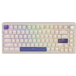 DrunkDeer A75 Rapid Trigger Mechanisch Toetsenbord, Magnetisch Schakelaar Toetsenbord TKL RGB Bedraad USB Compact 82 Toetsen met Knop, Grijs
