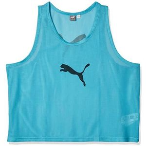PUMA Herenshirt met korte mouwen, Blauwe Atol, S