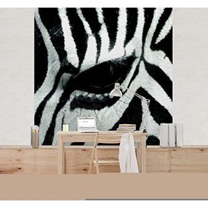 Apalis Vliesbehang Zebra Crossing Fotobehang Vierkant | Fleece Behang Muurbehang Foto 3D Fotobehang voor Slaapkamer Woonkamer Keuken | Grootte: 288x288 cm, zwart, 98164