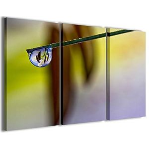 Kunstdruk op canvas, bloem gereflecteerde bloem, moderne foto's van 3 panelen, klaar om op te hangen, 100 x 70 cm