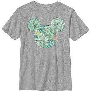 Disney Succulent T-shirt voor jongens (1 stuks), Sportieve heide, S