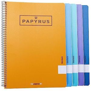 Unipapel 98452099, pak met 5 notitieboeken, polypropyleen, 4 x 4 mm, geruit, verschillende kleuren, Papyrus 08-UniCLASIC