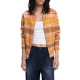 Gebreide Trui - Gestreept - Met Rits en Capuchon