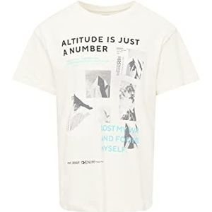TOM TAILOR Denim Uomini T-shirt met print 1033996, 15221 - Offwhite, M