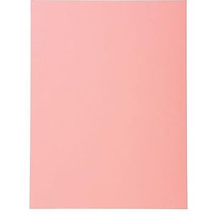 Exacompta - ref. 420003E - Set van 100 half-stevige dossiermappen Forever® 170 g/m2 - 100% gerecycleerd en Blauer Engel gecertificeerd - Afmetingen: 24 x 32 cm Formaat A4 - roze kleur