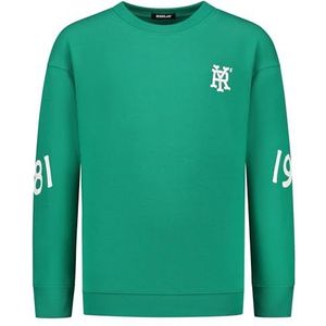 Replay Oversized sweatshirt voor jongens, 430 Sport Green, 10 Jaar