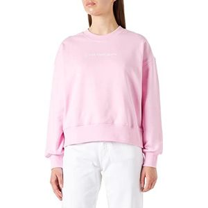 Calvin Klein Jeans Vrouwen Shrunken Institutional Crew Neck Sweater, Bella., L