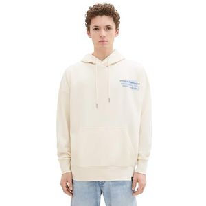 TOM TAILOR DENIM Sweatshirt  enziaan / pastelblauw / wolwit